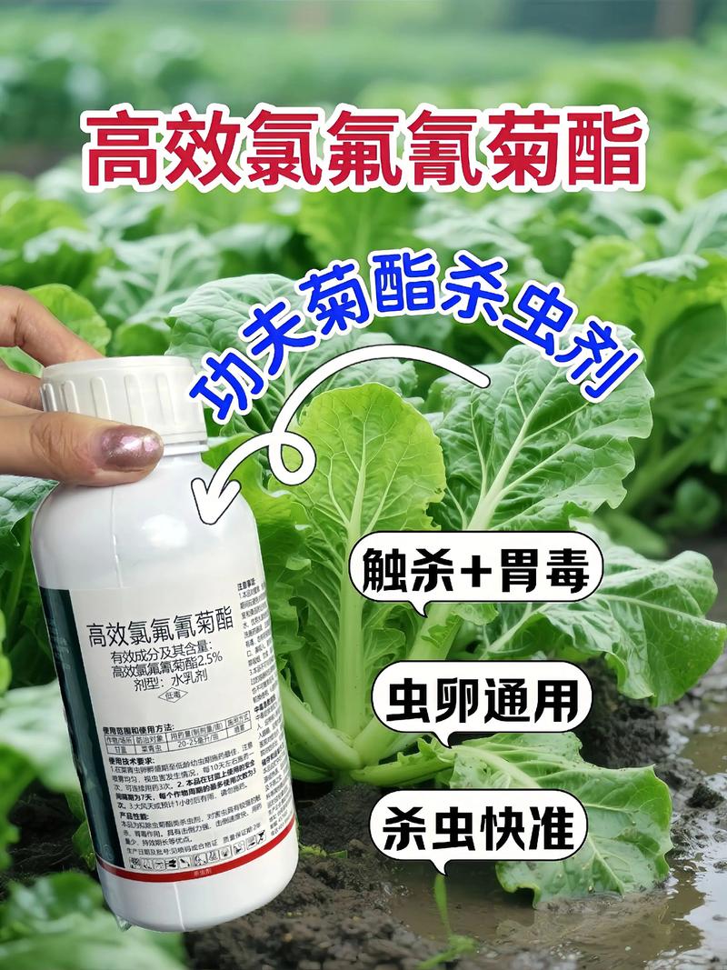 昌江代生中心:农药对供卵代生妈妈的危害